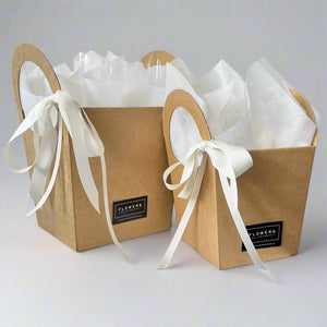Two brown paper gift bags with white ribbons on a textured white surface.