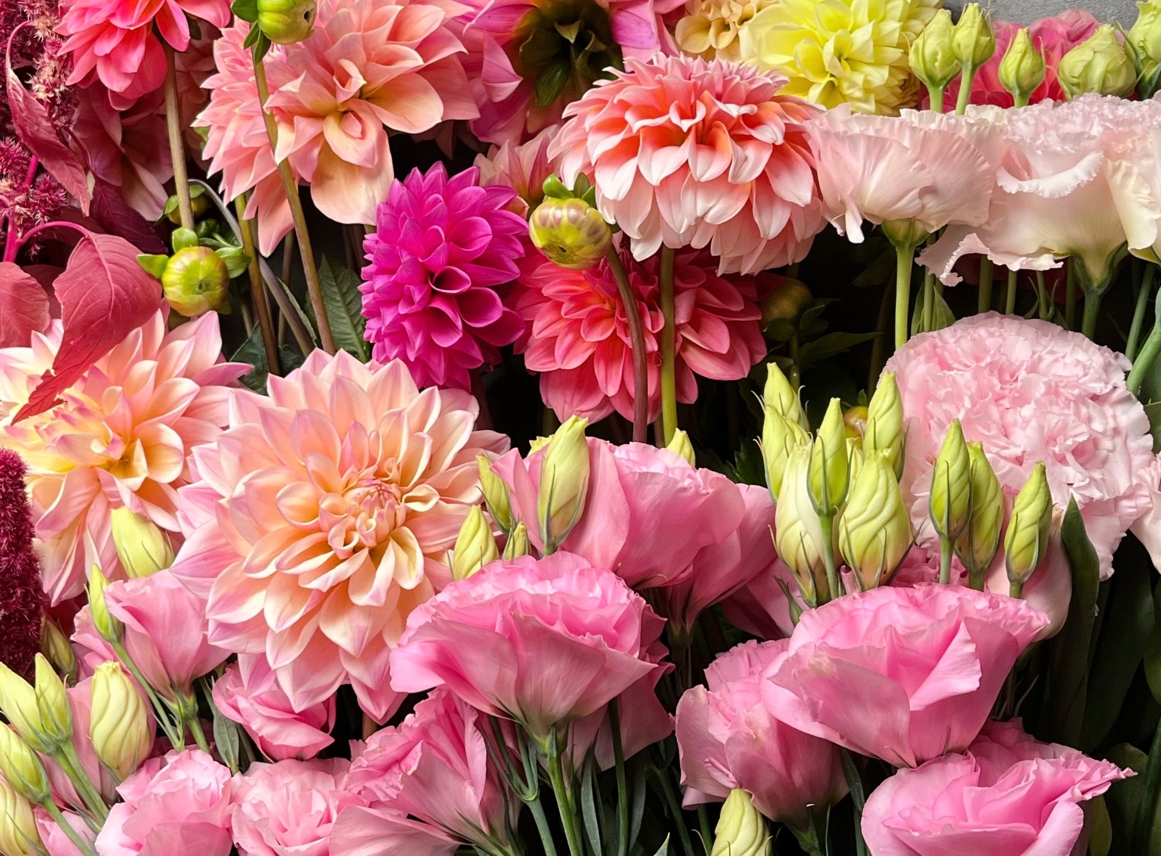 Bouquet of pink and purple flowers with green buds